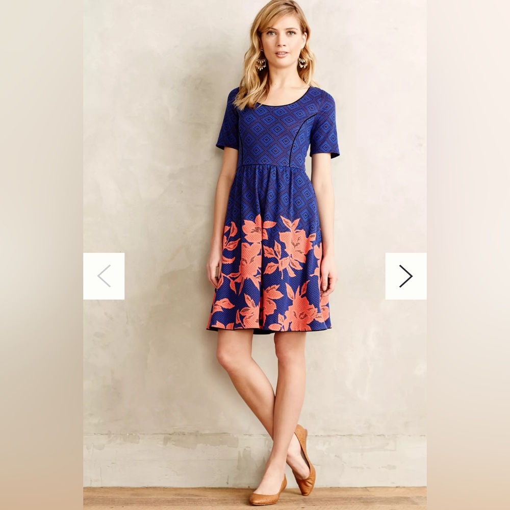 Anthropologie HD in Paris Blushed Blooms Dress